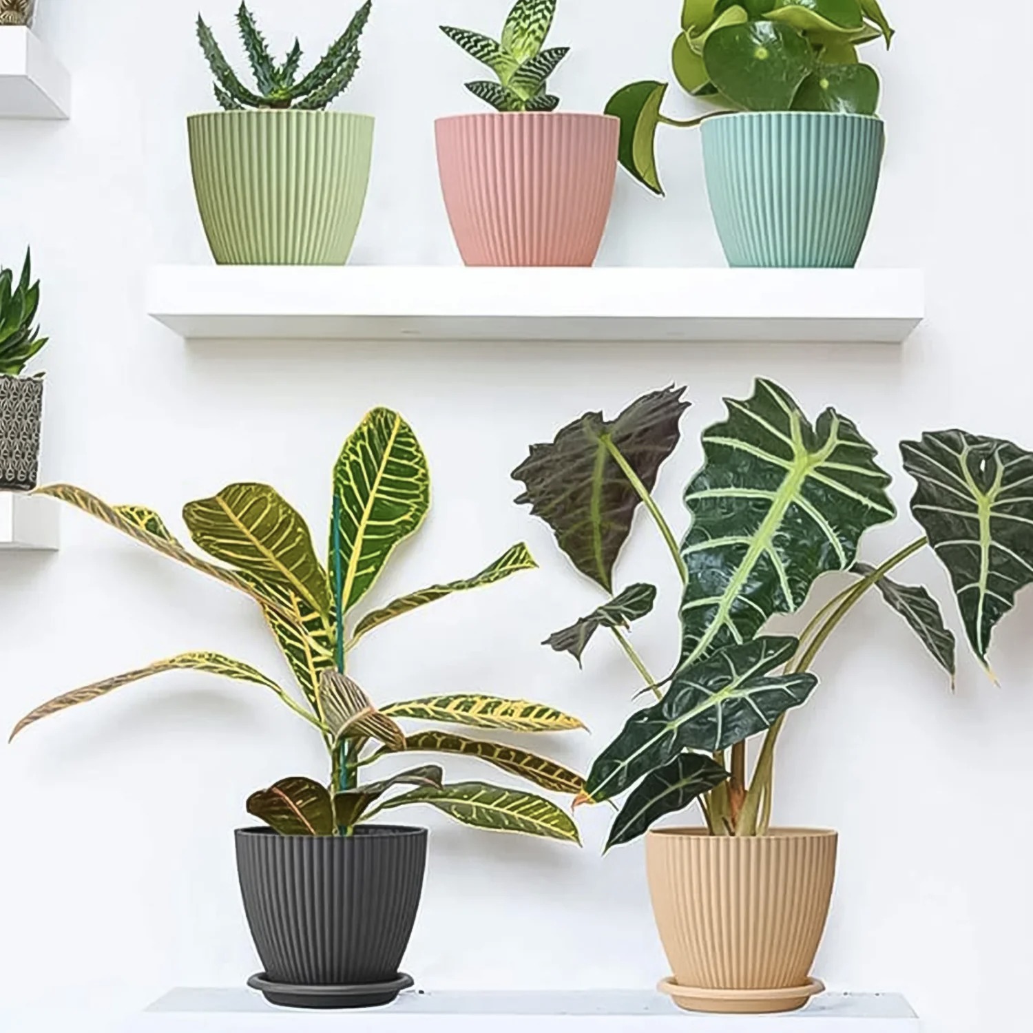 FLOWER POT (5 PCS) - Image 2