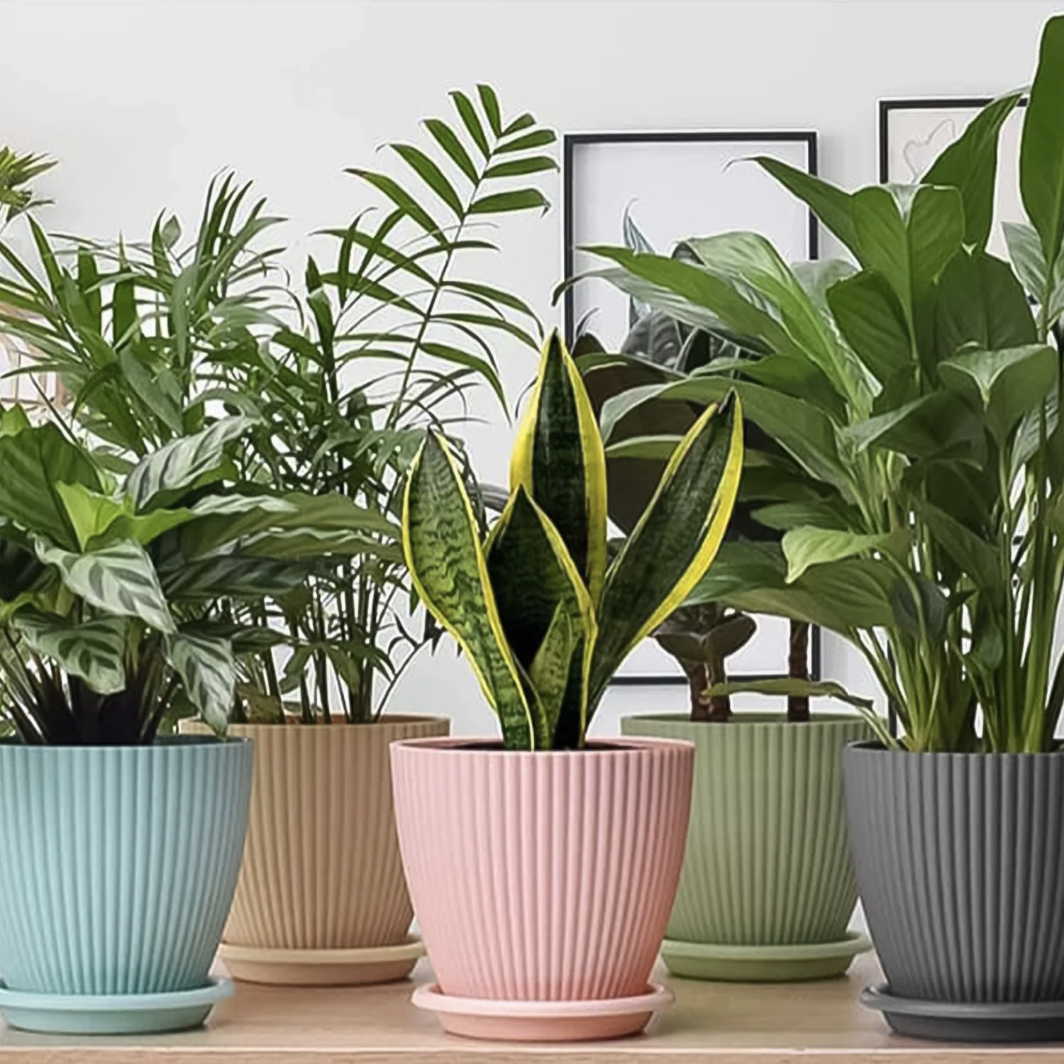 FLOWER POT (5 PCS) - Image 3