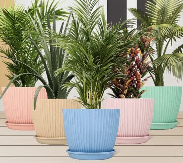 FLOWER POT (5 PCS)