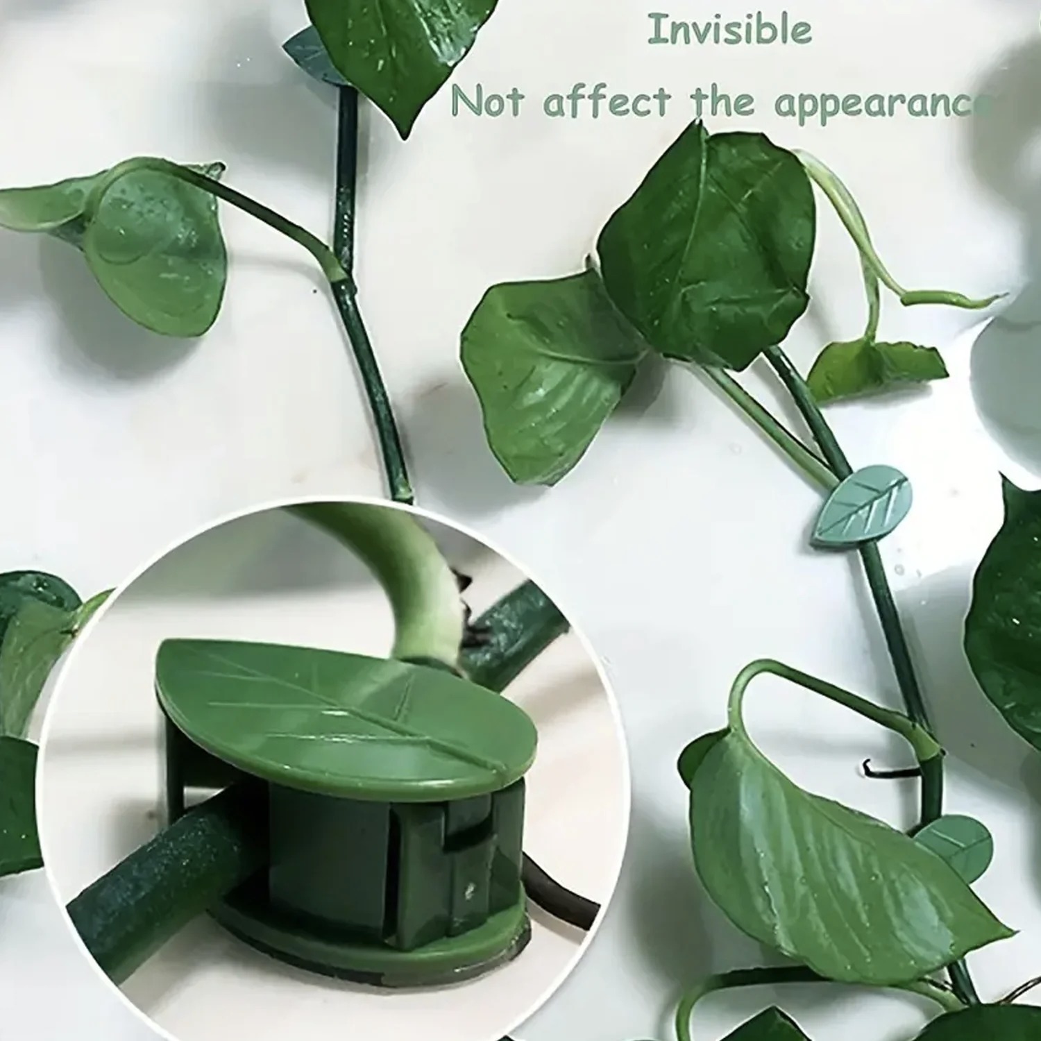 WALL PLANT CLIP (10 PCS)